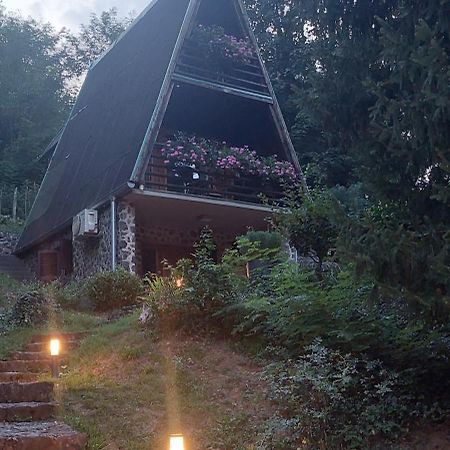 Holiday Home Dragonfly River House On Korana Near Plitvice And Mreznica Barilovic Bagian luar foto
