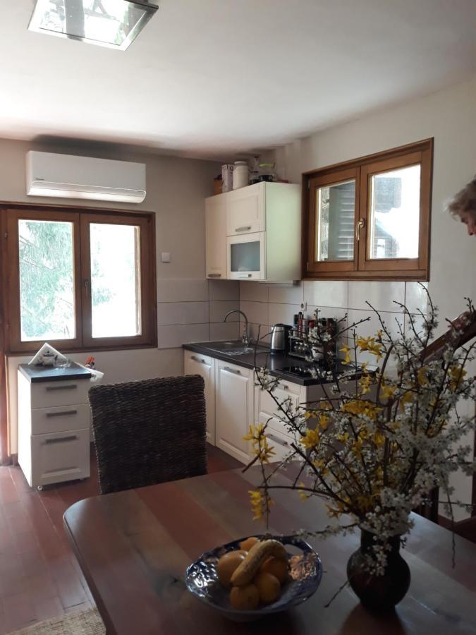 Holiday Home Dragonfly River House On Korana Near Plitvice And Mreznica Barilovic Bagian luar foto