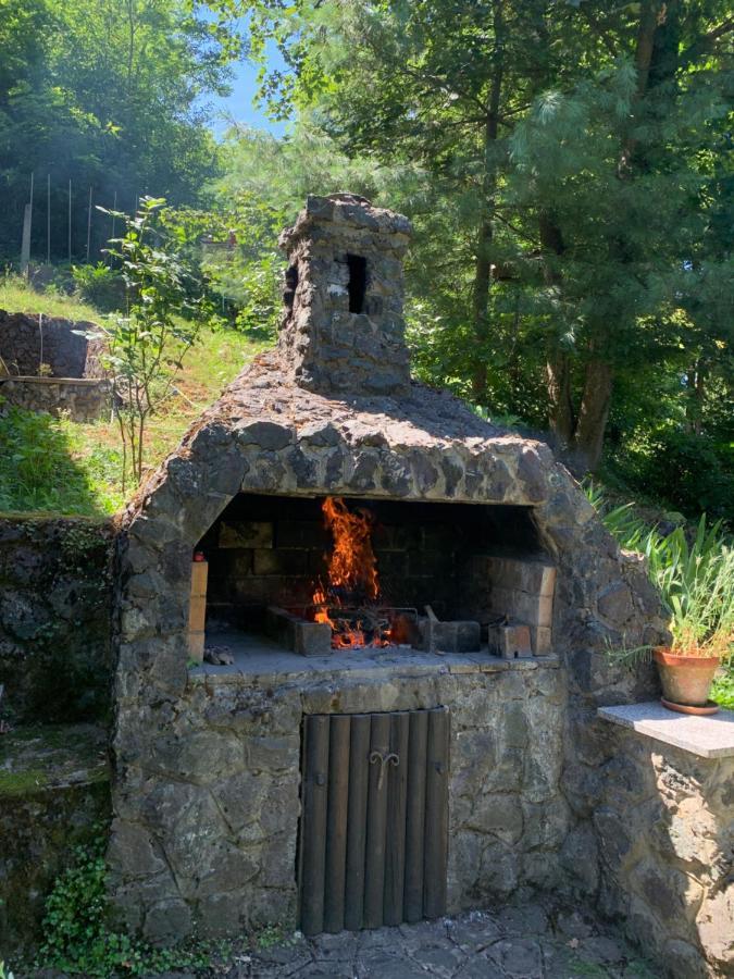 Holiday Home Dragonfly River House On Korana Near Plitvice And Mreznica Barilovic Bagian luar foto